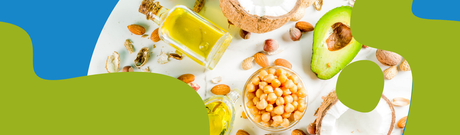 Plant Fats vs Animal Fats – Complete Guide