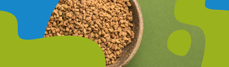 Fenugreek: Medicinal Uses, Benefits & Properties
