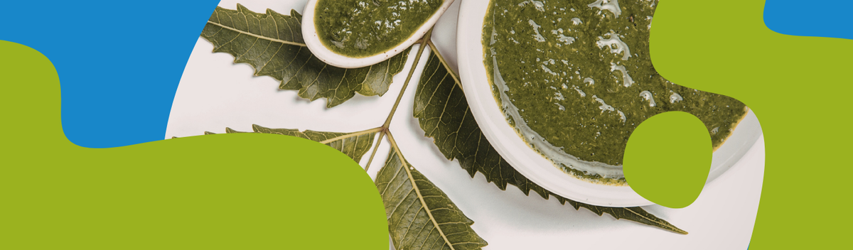 Neem: Properties, Benefits & Precautions