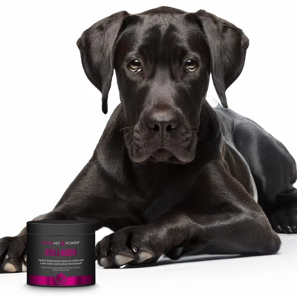 JM Sante Monovet Power Collagen - 120 g